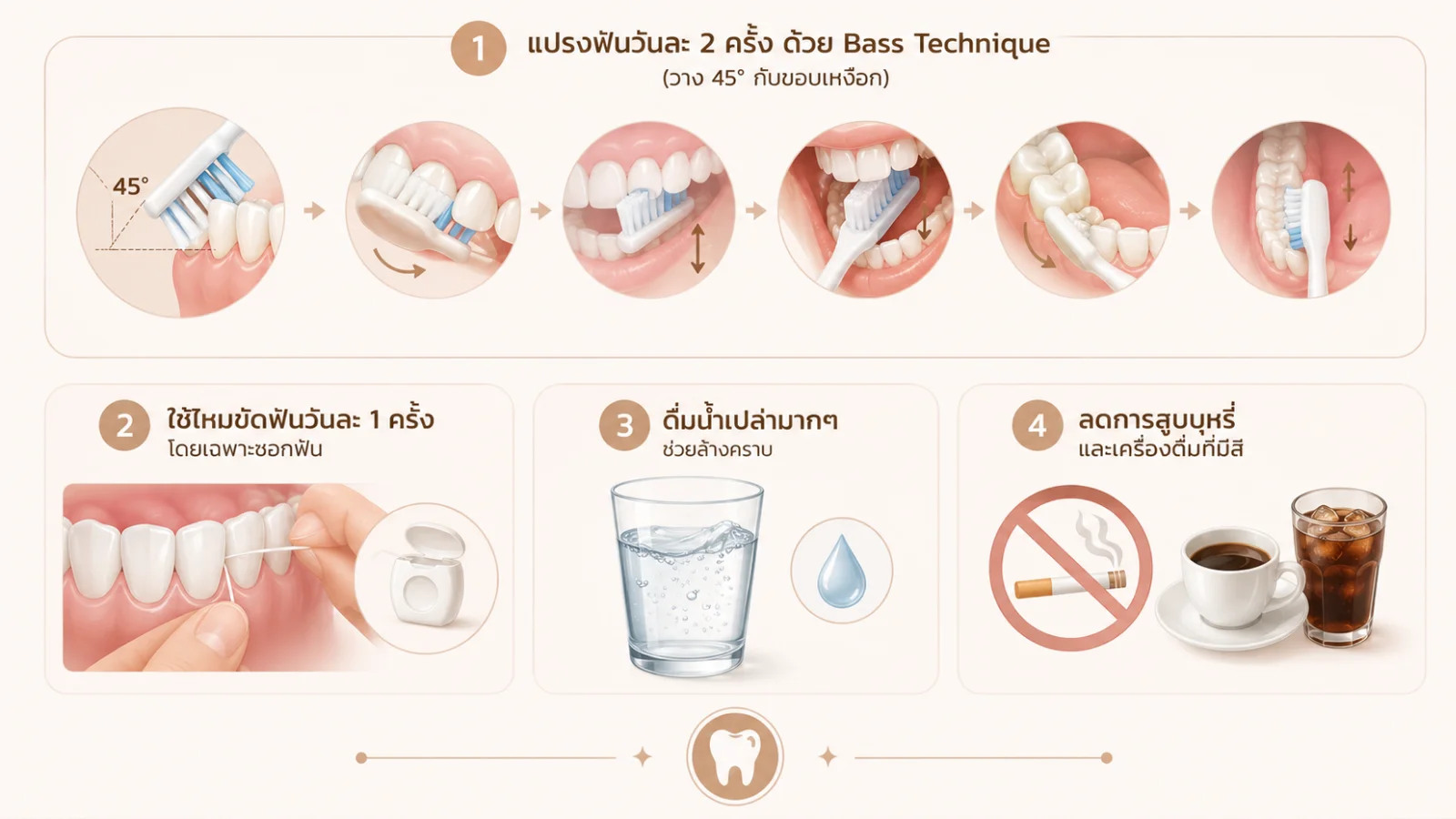 วิธีแปรงฟันแบบ Bass Technique และวิธีชะลอการเกิดหินปูน